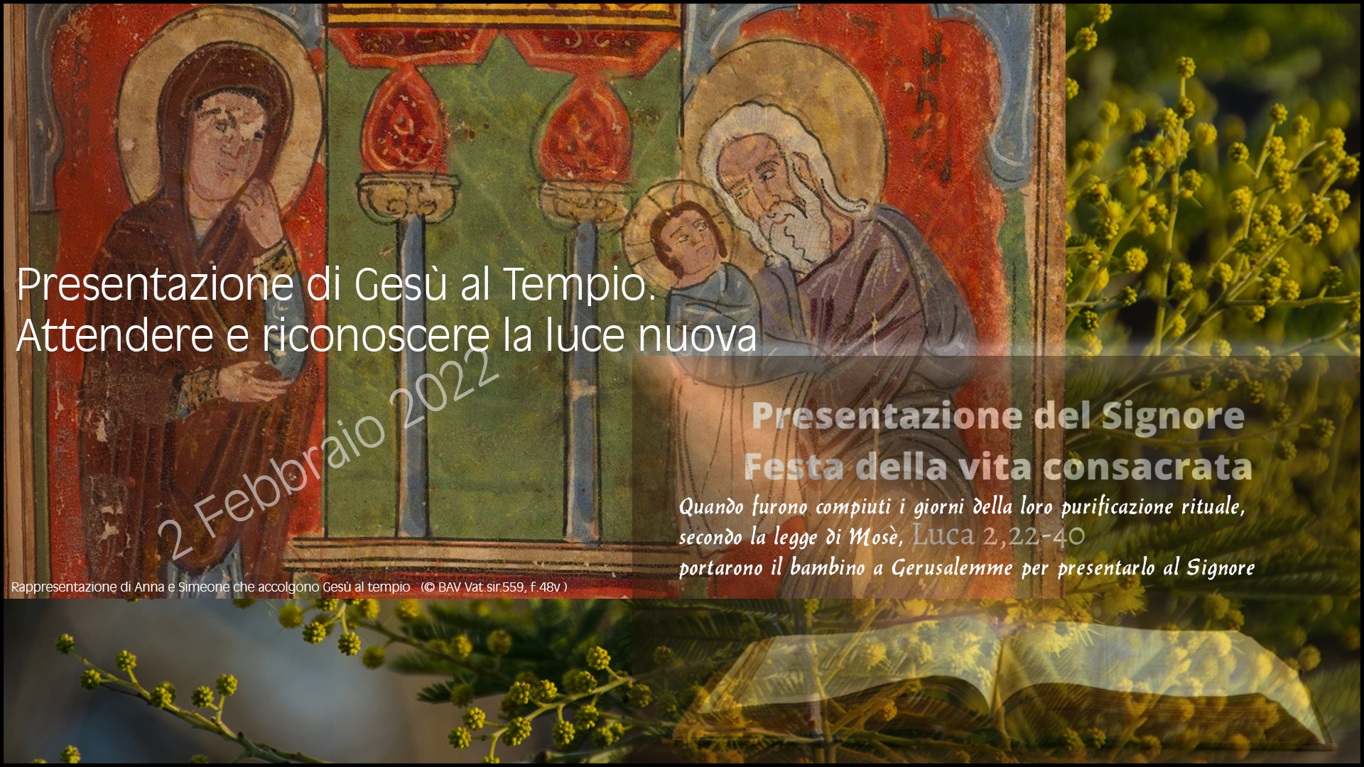 Domenica 30 Gennaio 2022: dal Vangelo di Gesù Cristo secondo Luca 4,21-30.  – Dentro Salerno